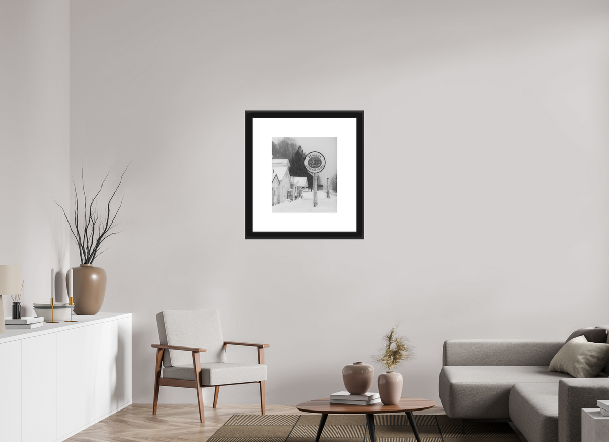 20 x 22.6″, Paper Print Matte, 2" White Border, 2" Black Frame Matte Glass Hasgas General Store