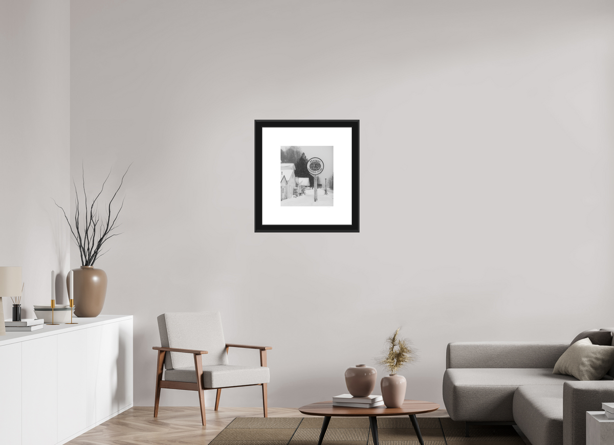 16 x 18.1″, Paper Print Matte, 2" White Border, 2" Black Frame Matte Glass Hasgas General Store