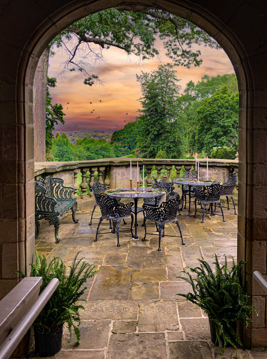The Virginia House Terrace View
